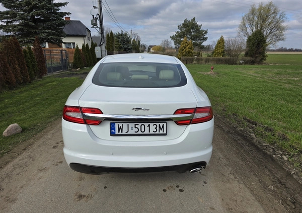 Jaguar XF cena 46500 przebieg: 206250, rok produkcji 2012 z Kutno małe 121